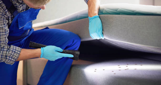 Best Local Pest Control Services  in Los Alamitos, CA
