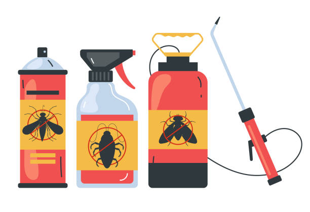 Trusted Los Alamitos, CA Pest Control Experts