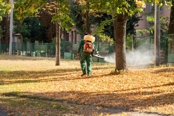 Best Pest Inspection Near Me  in Los Alamitos, CA